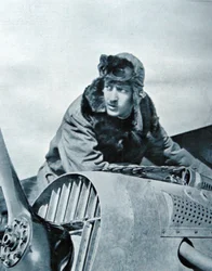 1917年9月、死亡2日前のギネマー